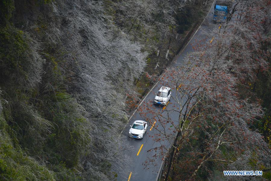 CHINA-HUNAN-FROST (CN)