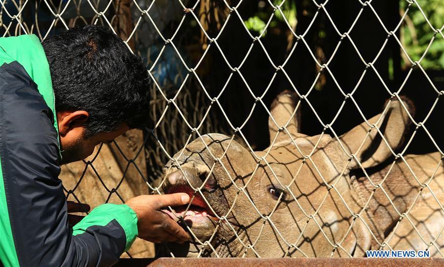 NEPAL-CHITWAN-RESCUED BABY RHINO