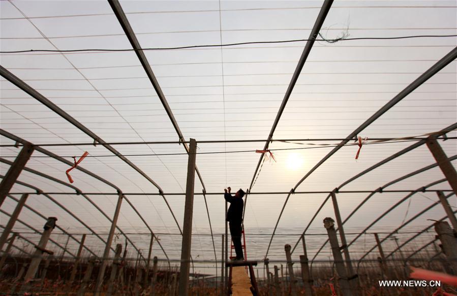 #CHINA-EARLY SPRING-AGRICULTURE (CN)