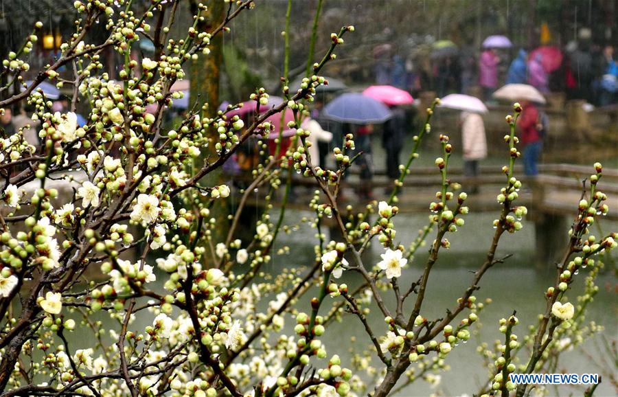 #CHINA-FLOWERS IN THE RAIN-SCENERY (CN)