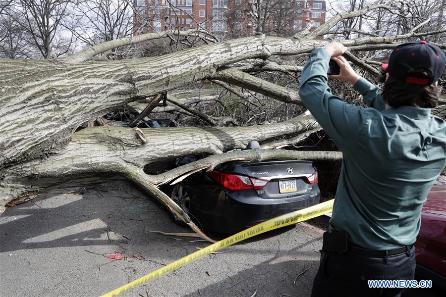 U.S.-WASHINGTON D.C.-WINDSTORM