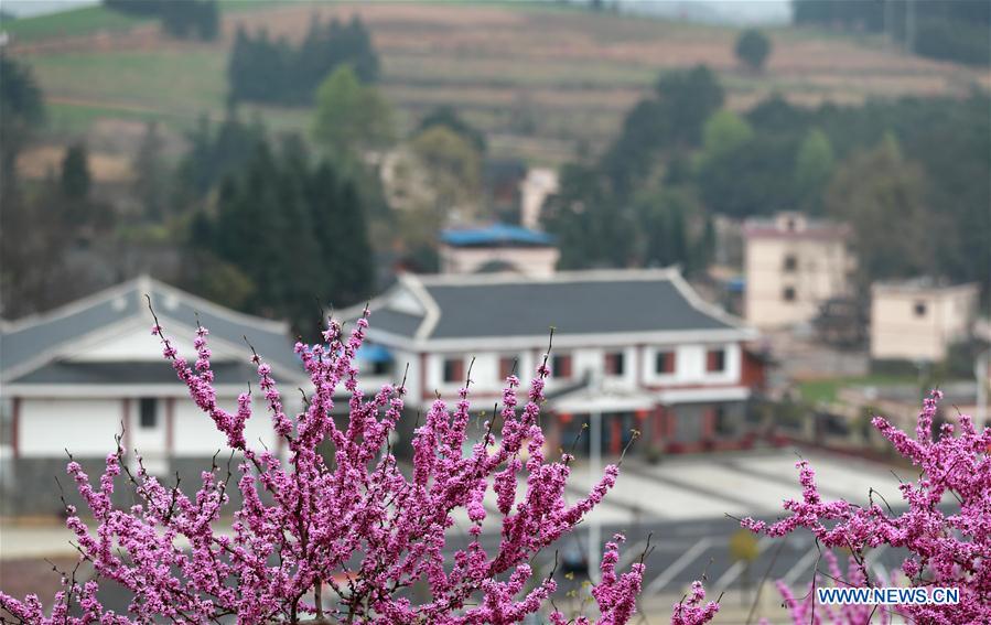 #CHINA-SPRING-SCENERY (CN)