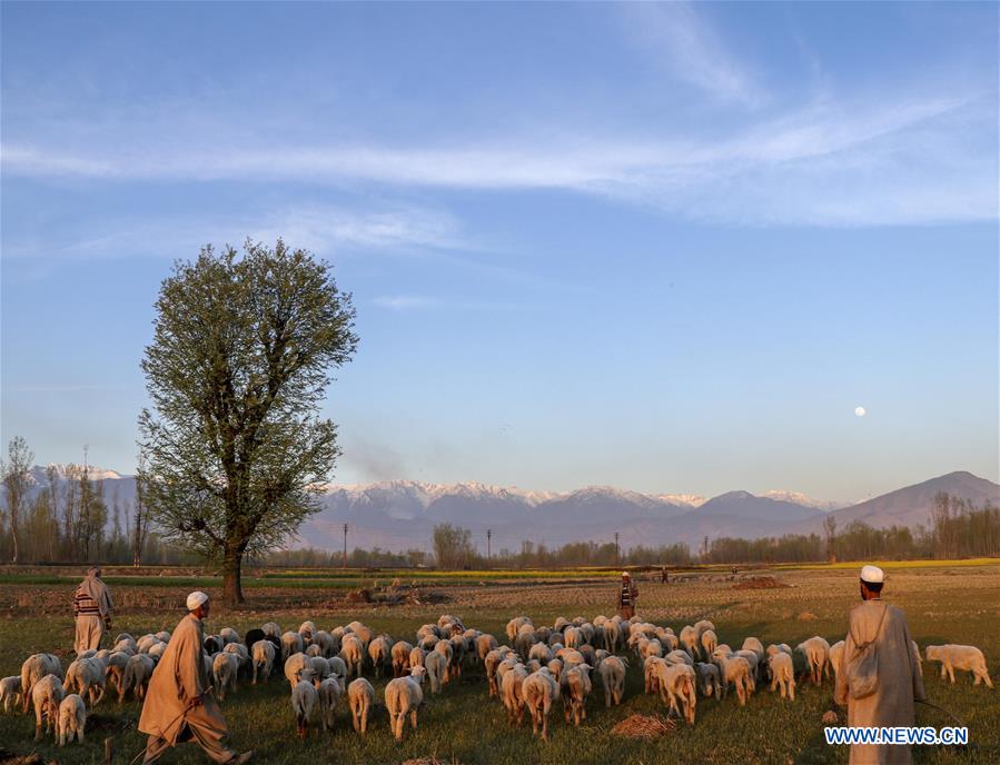 KASHMIR-SRINAGAR-DAILY LIFE