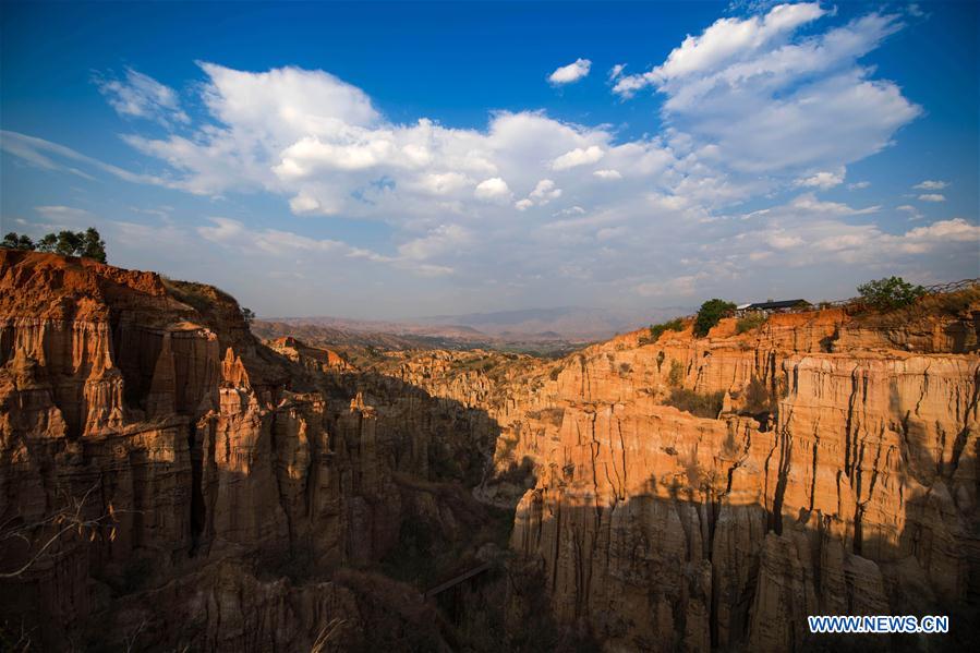 CHINA-YUNNAN-YUANMOU-EARTH FOREST (CN)