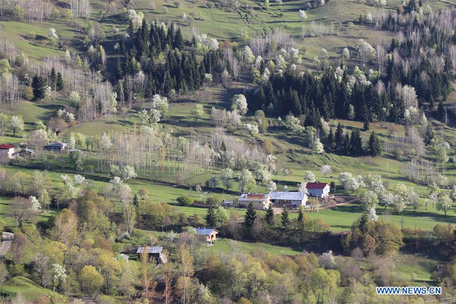 TURKEY-ARTVIN-SPRING