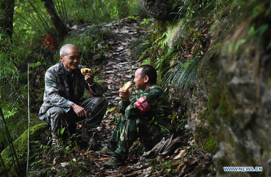 CHINA-CHONGQING-WUXI-FOREST-PROTECTION-RANGER (CN) 