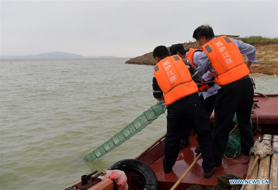 CHINA-JIANGXI-NANCHANG-FINLESS PORPOISES-PROTECTION (CN)