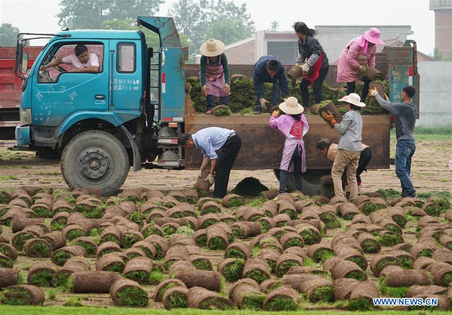 CHINA-XI'AN-RURAL ECONOMY-TURF-BUSINESS (CN)