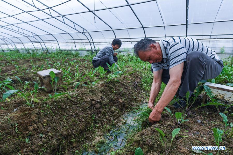 CHINA-ZHEJIANG-CHANGXING-PHOTOVOLTAIC AGRICULTURE (CN)