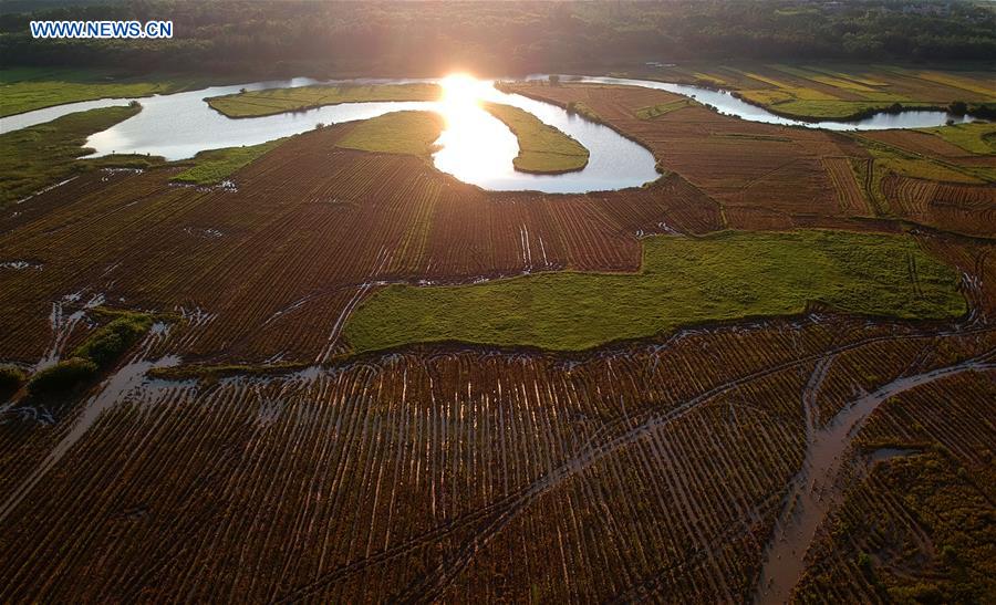 CHINA-HAINAN-QUXI WETLAND-RESTORATION (CN)