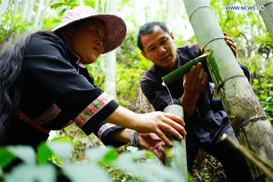 #CHINA-GUANGXI-BAMBOO WINE INDUSTRY (CN)