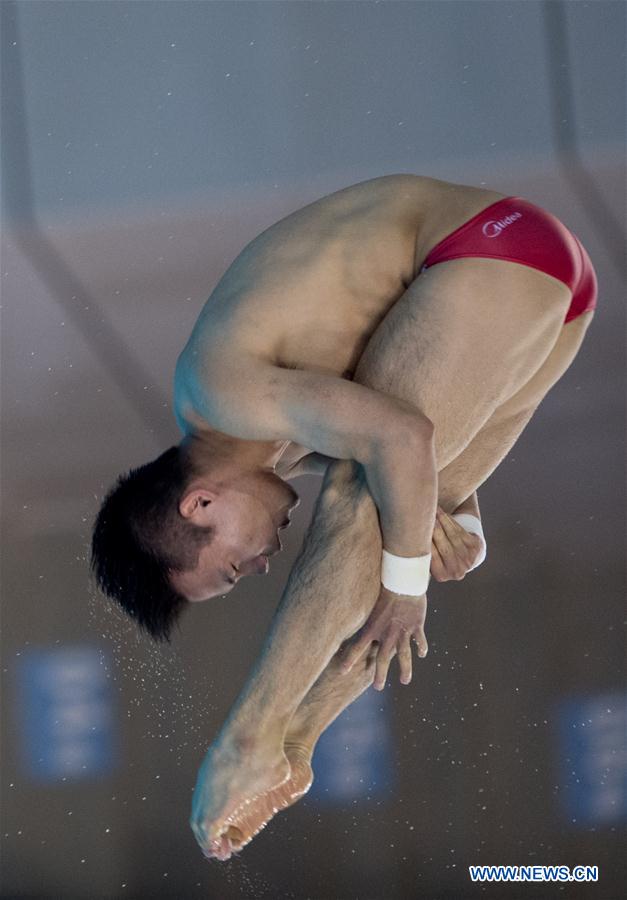 (SP)CHINA-WUHAN-DIVING-FINA-WORLD CUP (CN)