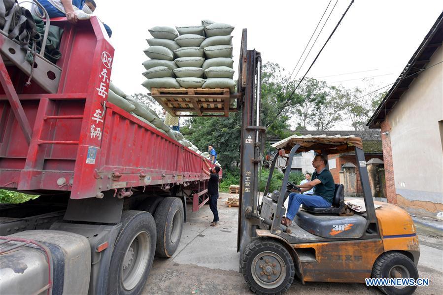 CHINA-JIANGXI-TRUCK-TRANSPORTATION-DRIVER-LIFE (CN)