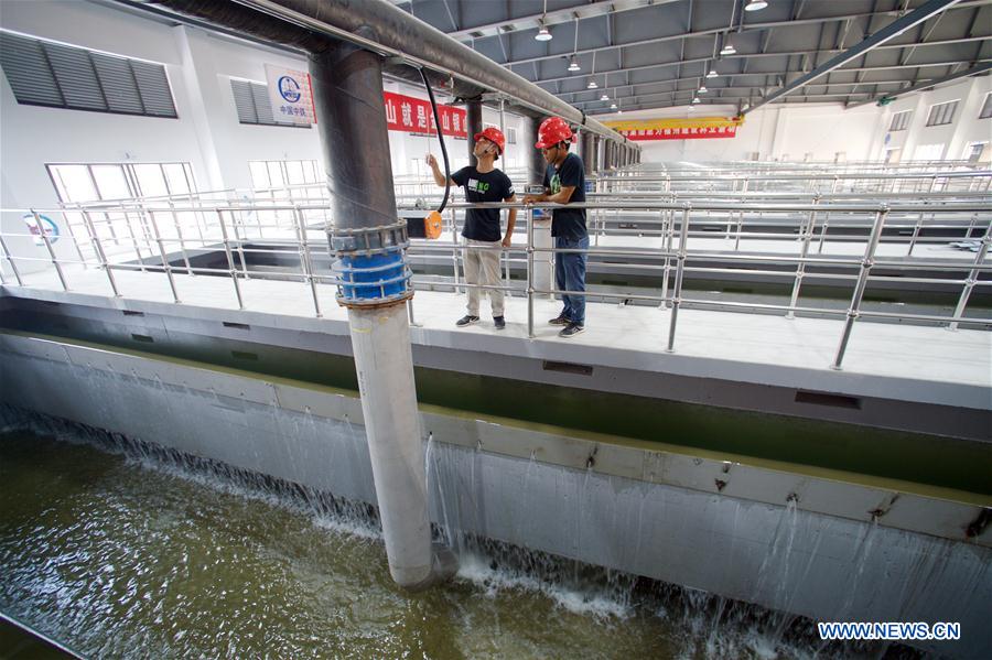 CHINA-FUZHOU-SEWAGE TREATMENT PLANT (CN)