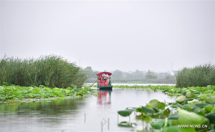 CHINA-ZHENGZHOU-LOTUS(CN)