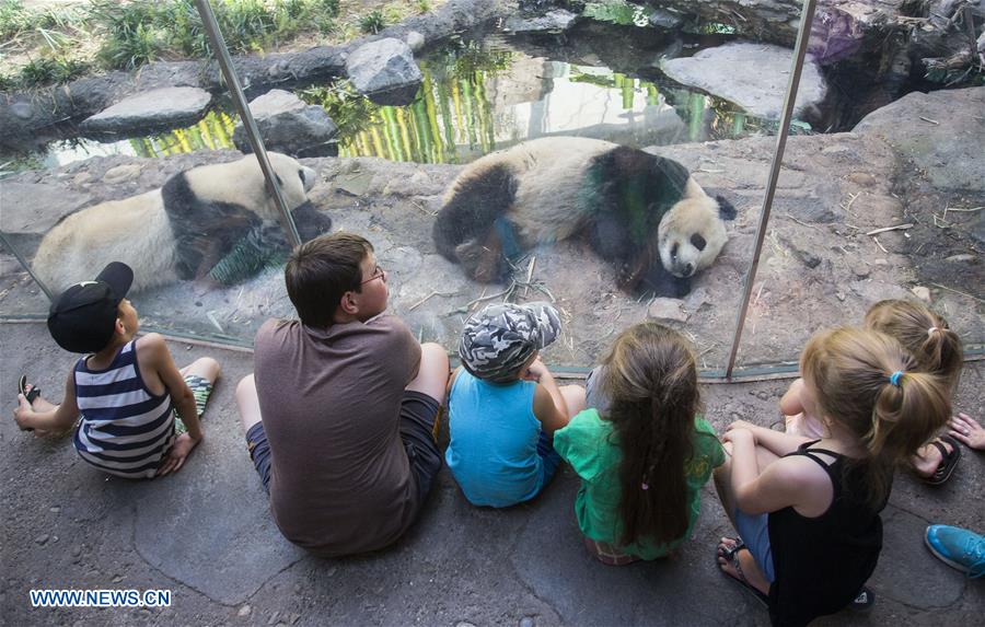 CANADA-CALGARY-ZOO-GIANT PANDAS