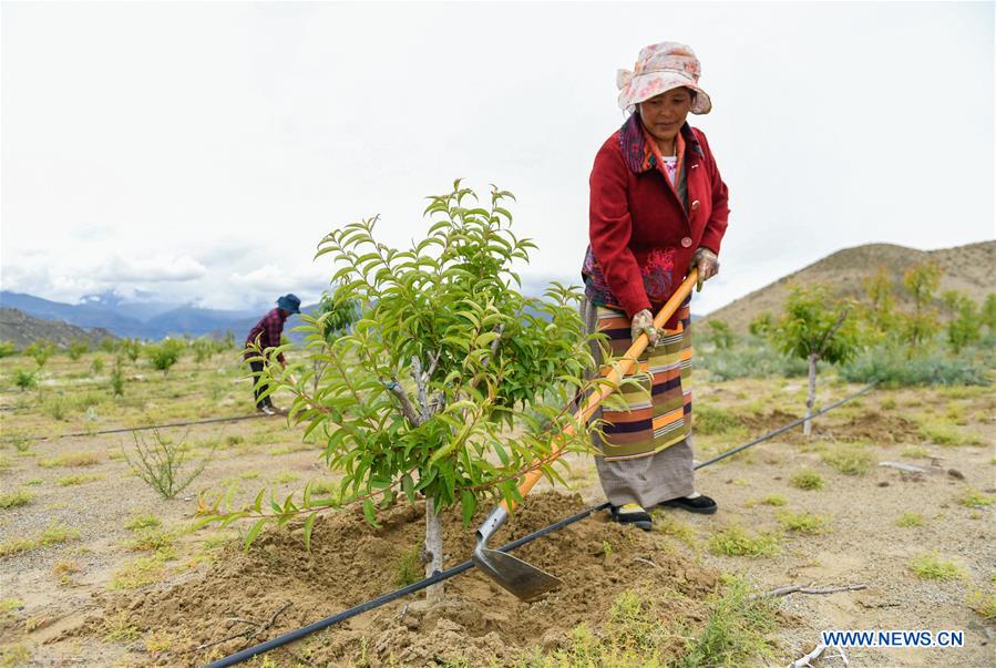 CHINA-TIBET-SHANNAN-POVERTY ALLEVIATION (CN)