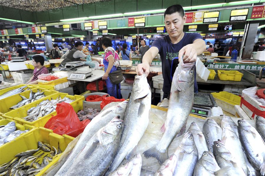 #CHINA-ECONOMY-CPI-UP (CN)