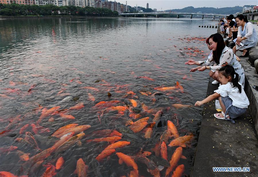 CHINA-FUJIAN-RIVER-FISH (CN)