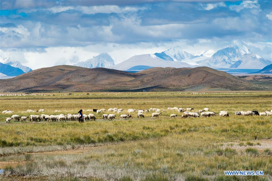 CHINA-TIBET-XIGAZE-SCENERY (CN)