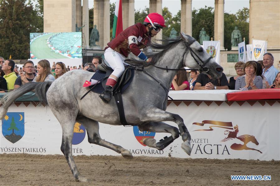 (SP)HUNGARY-BUDAPEST-NATIONAL GALLOP HORSE RACE