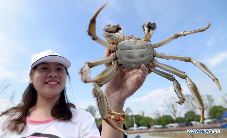 #CHINA-SUZHOU-FOOD CULTURE-CRAB-FESTIVAL (CN)