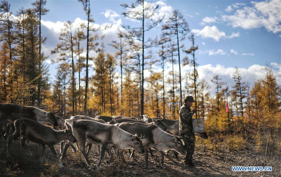 XINHUA PHOTO WEEKLY CHOICES