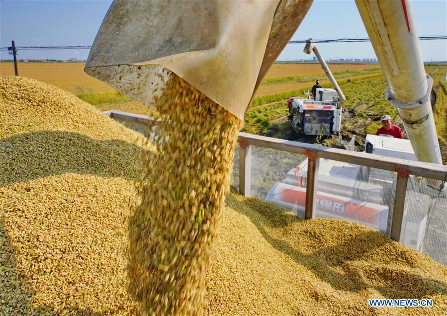 CHINA-HEBEI-FARMWORK (CN)