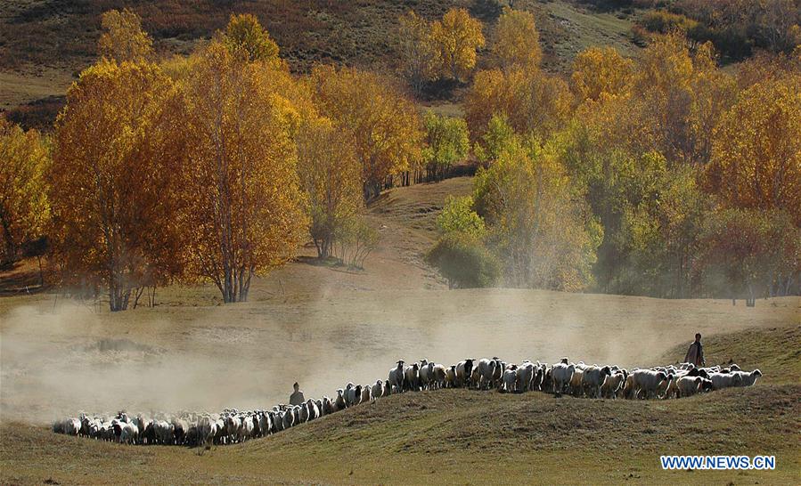 #CHINA-HEBEI-SAIHANBA-SCENERY (CN)