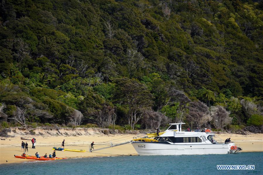 NEW ZEALAND-ABEL TASMAN NATIONAL PARK-DAILY LIFE