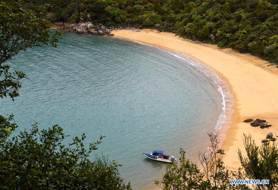 NEW ZEALAND-ABEL TASMAN NATIONAL PARK-DAILY LIFE