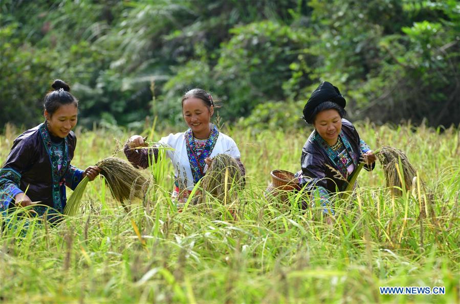 CHINA-GUANGXI-RONGSHUI-POVERTY ALLEVIATION (CN)