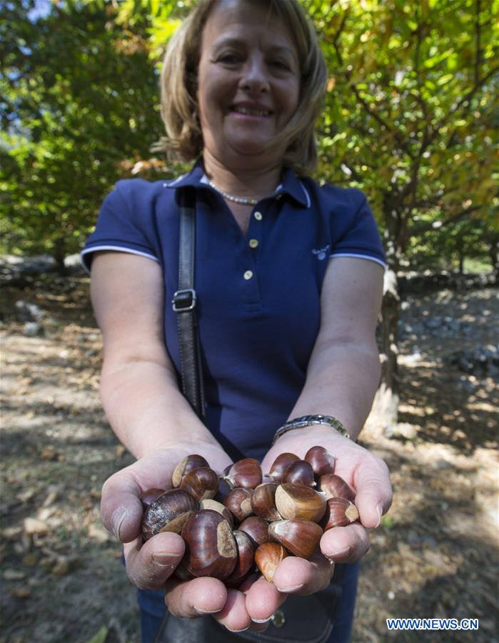 SWITZERLAND-FULLY-CHESTNUT FESTIVAL