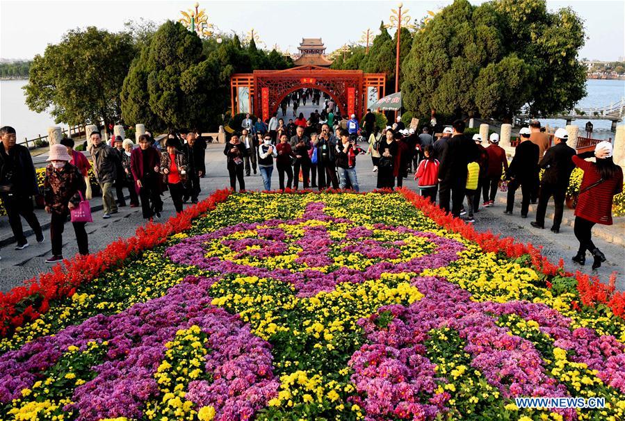 CHINA-HENAN-KAIFENG-CHRYSANTHEMUM (CN)