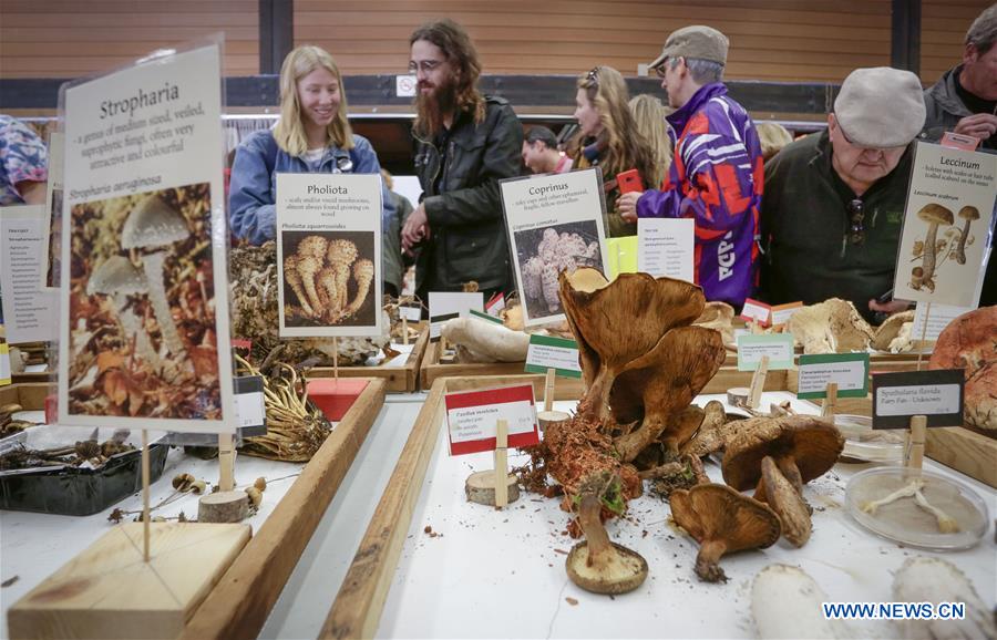 CANADA-VANCOUVER-MUSHROOM SHOW