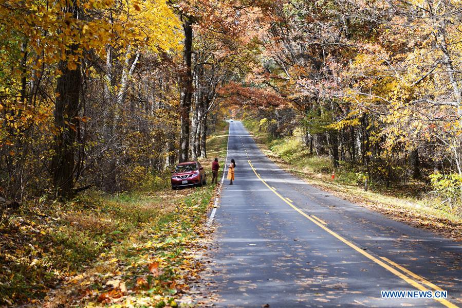 U.S.-VIRGINIA-SHENANDOAH NATIONAL PARK-AUTUMN VIEWS