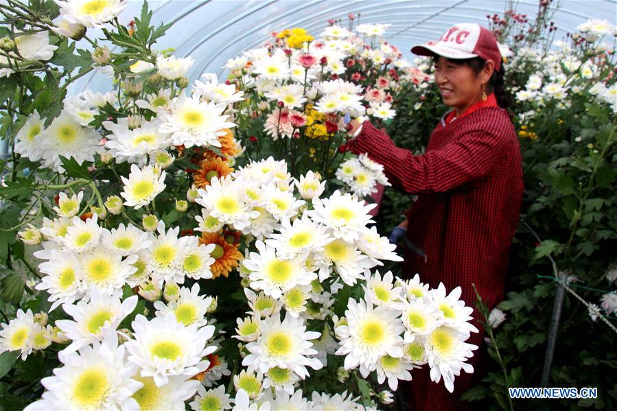 #CHINA-WINTER-FARM WORK (CN)