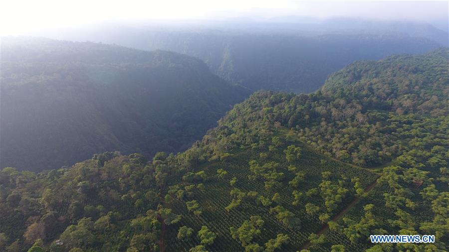 LAOS-CHAMPASAK-BOLAVEN PLATEAU