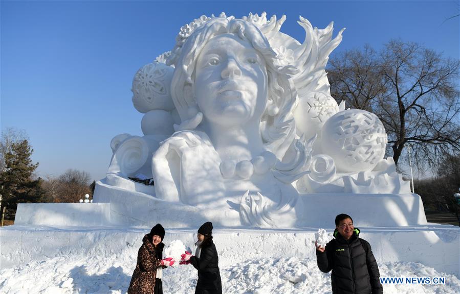 CHINA-HEILONGJIANG-HARBIN-SNOW SCULPTURES-EXPO (CN)