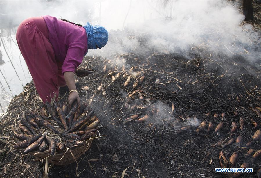 XINHUA PHOTOS OF THE DAY