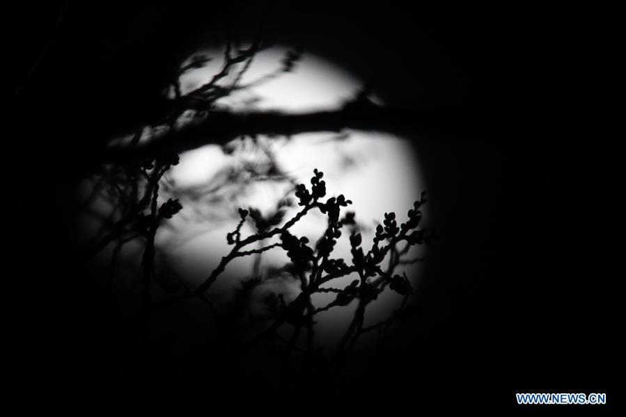 U.S.-WASHINGTON-LUNAR ECLIPSE