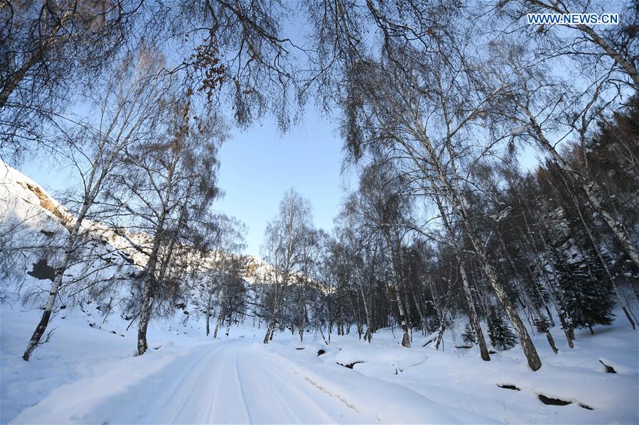 CHINA-XINJIANG-SCENIC SPOT-WINTER SCENERY (CN)