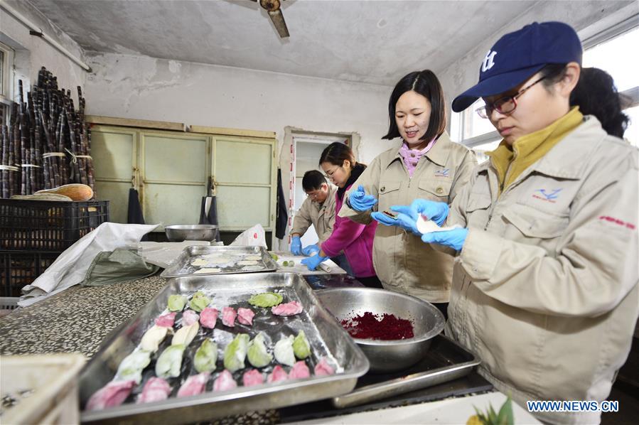 #CHINA-TIANJIN-SPRING FESTIVAL-ZOO (CN)