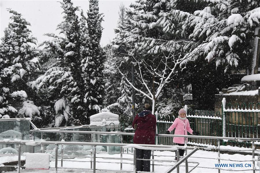 TURKEY-ISTANBUL-SNOW-SCENERY