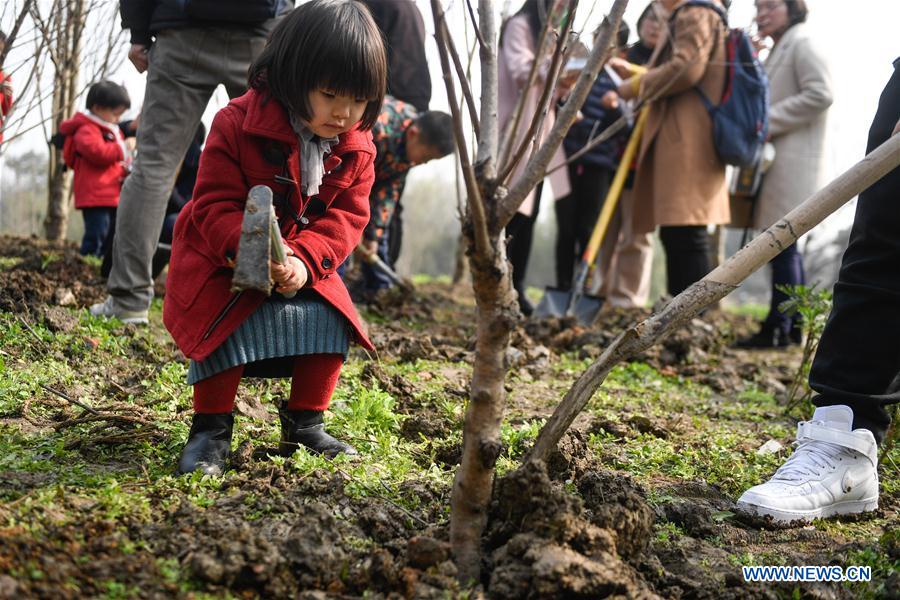 CHINA-HANGZHOU-ARBOR DAY-TREE PLANTING (CN)