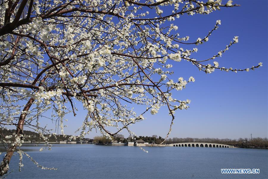 #CHINA-BEIJING-SUMMER PALACE-SCENERY (CN)