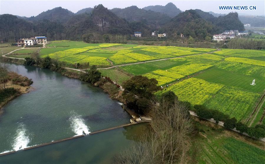 CHINA-JIANGXI-RAPESEED FIELDS (CN)