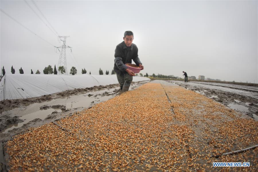 #CHINA-SPRING-FARMING (CN)