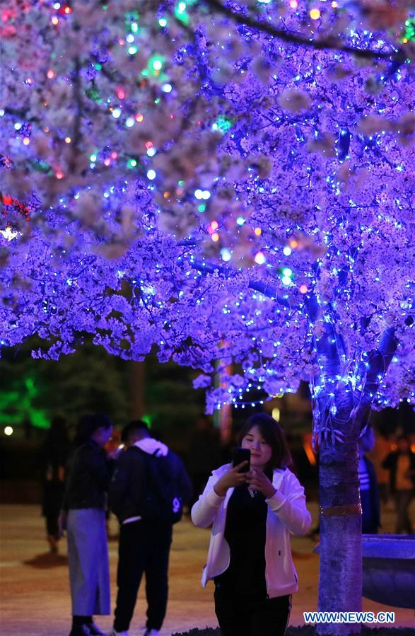 #CHINA-SHANDONG-WEIFANG-CHERRY BLOSSOMS (CN)