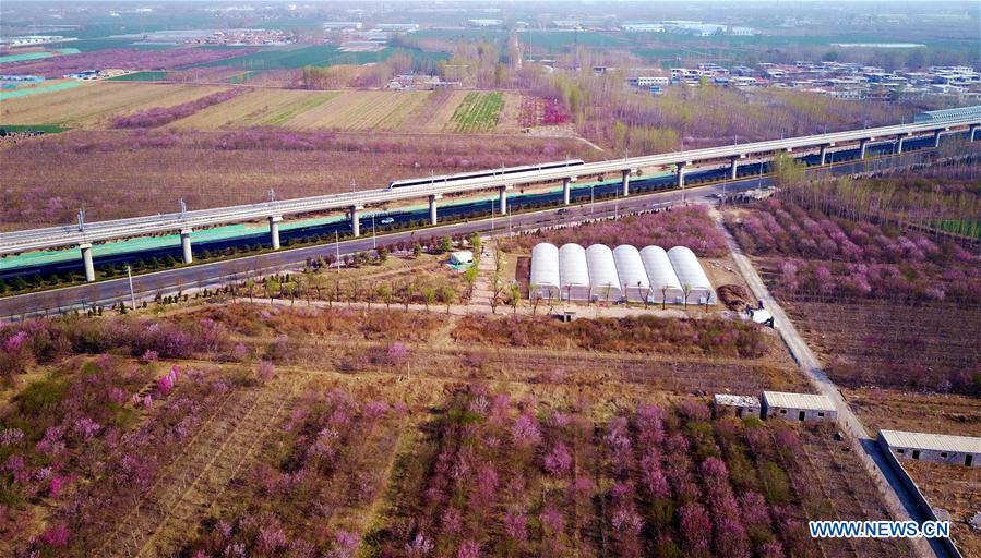 #CHINA-SHANDONG-JINAN-METRO LINE-COMMERCIAL OPERATION (CN)